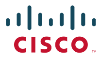 Cisco partner