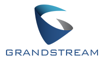 Grandstream partner